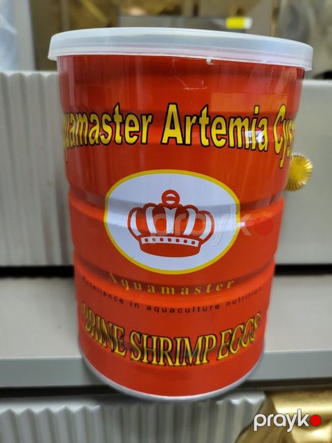 Artemia yumurtaları — Bakı