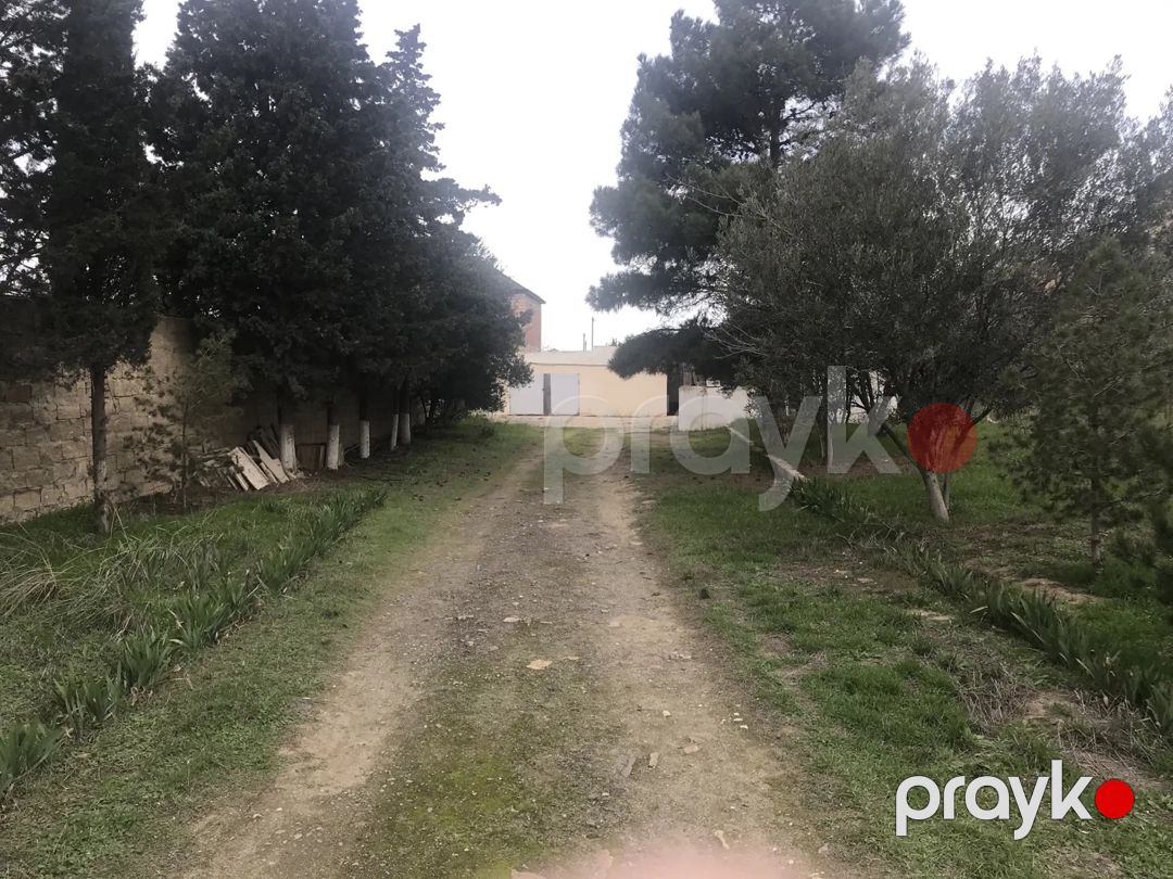 Satılır torpaq 30 sot — Torpaq, Sumqayıt (12)