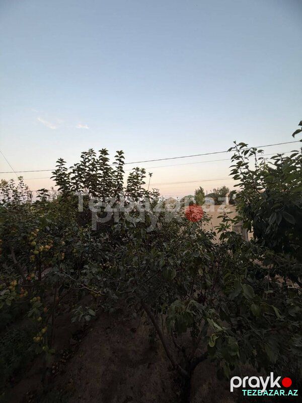 Maştağada 4 otaqli ev satilir — Ev, villa, Bakı (4)