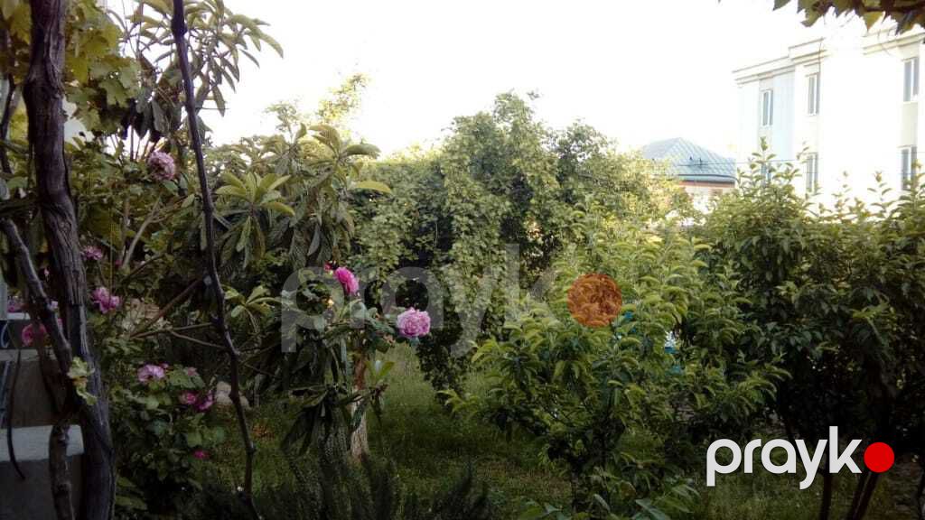 Satılır 5 otaqlı həyət evi/bağ evi 250 m² — Ev, villa, Bakı (3)