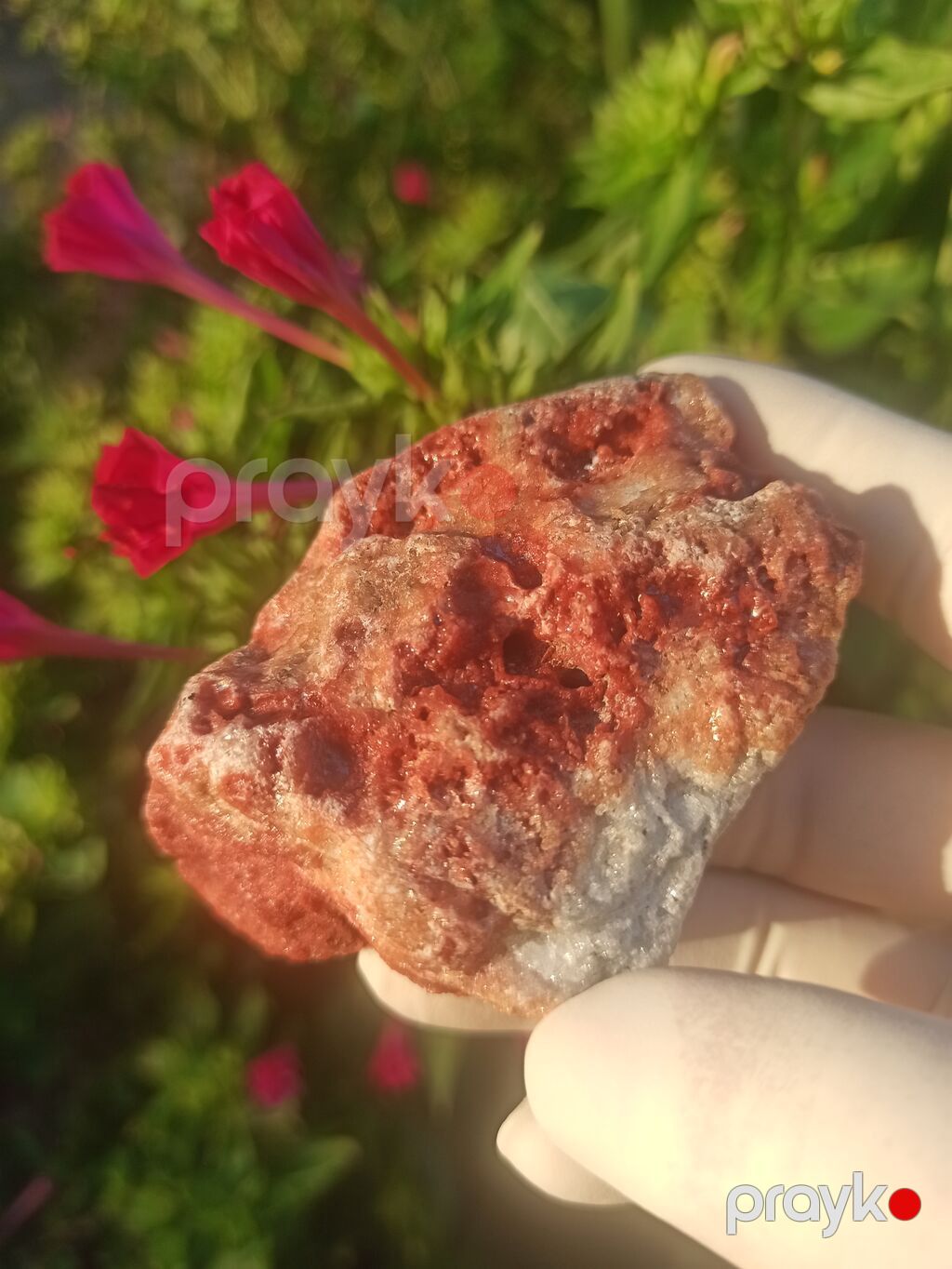 Təbii kolleksiya daşı – qırmızı-russet rəng keçidli, ağ-kvarsvari — Digər, Sumqayıt (2)
