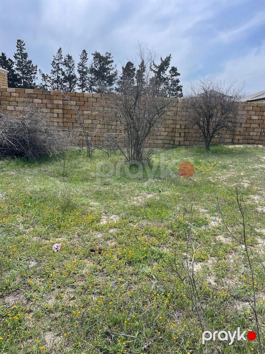 Satılır torpaq 24 sot — Torpaq, Bakı (9)