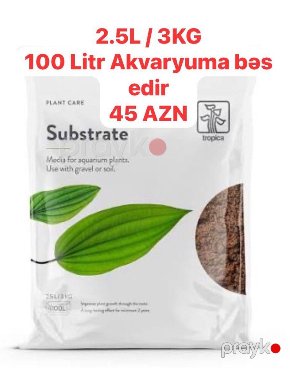 Akvarium üçün avadanlıqlar — Akvariumlar və balıqlar, Bakı (3)