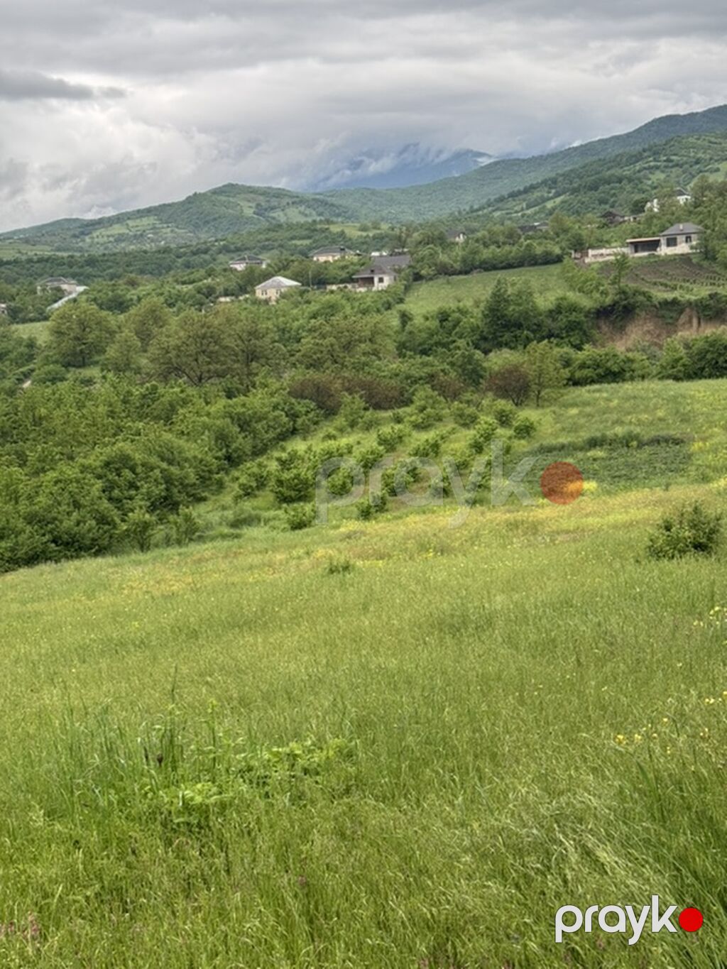 Kənd təsərrüfatı — Torpaq, Quba (3)