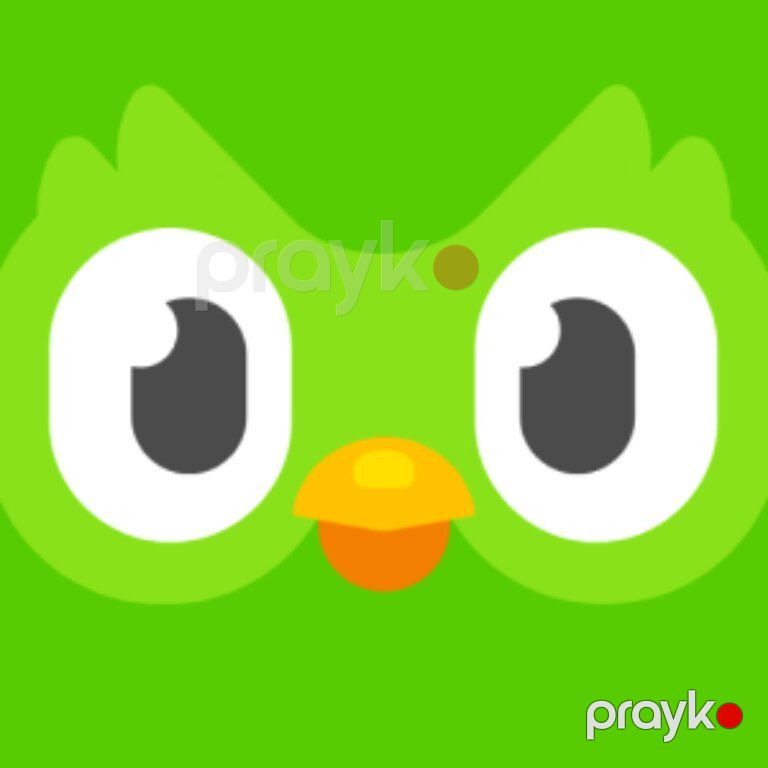 "Duolingo MAX, Super Duolingo" səhifəsi — Oyunlar, konsollər və proqramlar, Bakı (2)