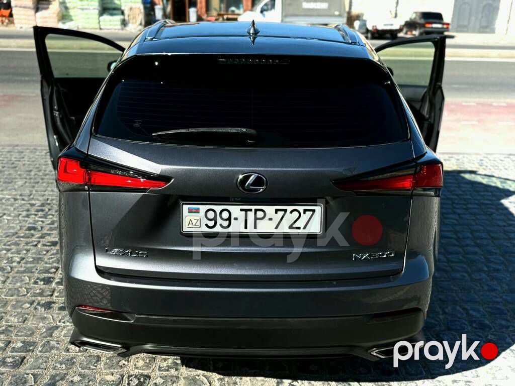 Lexus NX 300, 2.0 L, 2019 il, 117 000 km — Avtomobillər, Bakı (8)