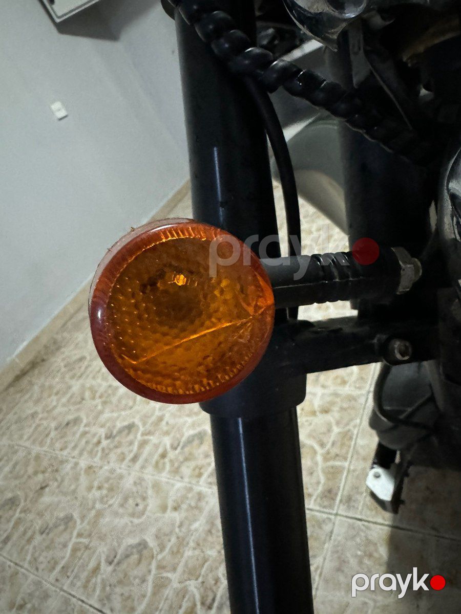 Citycoco Scooter C03A, 2019 il — Motosiklet və mopedlər, Bakı (5)
