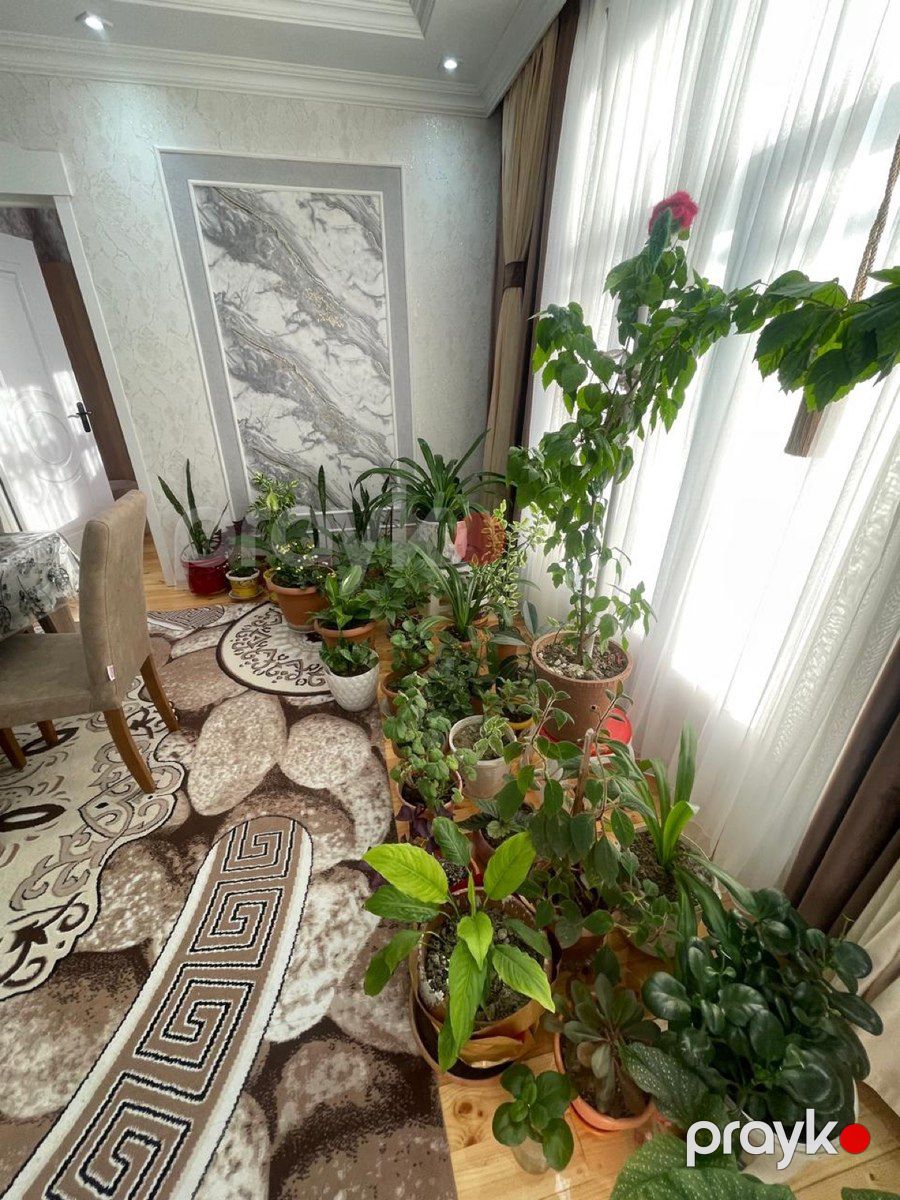 Həyət evi, Hökməli Qobu yolu — Ev, villa, Bakı (7)