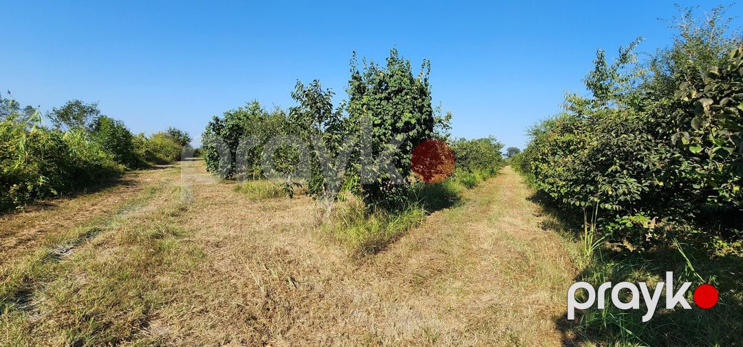 80 sot torpaq sahəsi, Xudat r — Torpaq, Xudat (8)