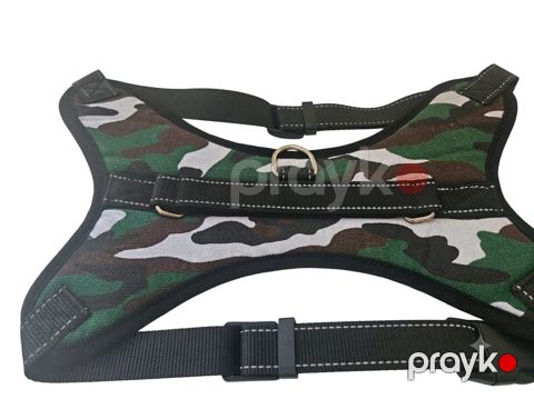 Qayiş itlər üçün Z-36, parça — Bakı