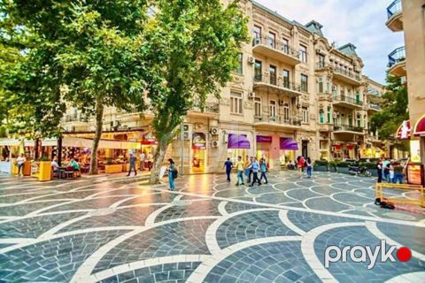Satılır 4 otaqlı yeni tikili 214 m² — Bakı