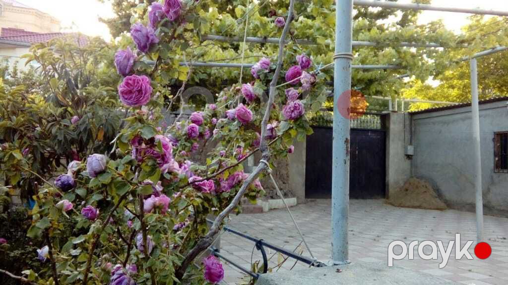 Satılır 5 otaqlı həyət evi/bağ evi 250 m² — Ev, villa, Bakı (5)