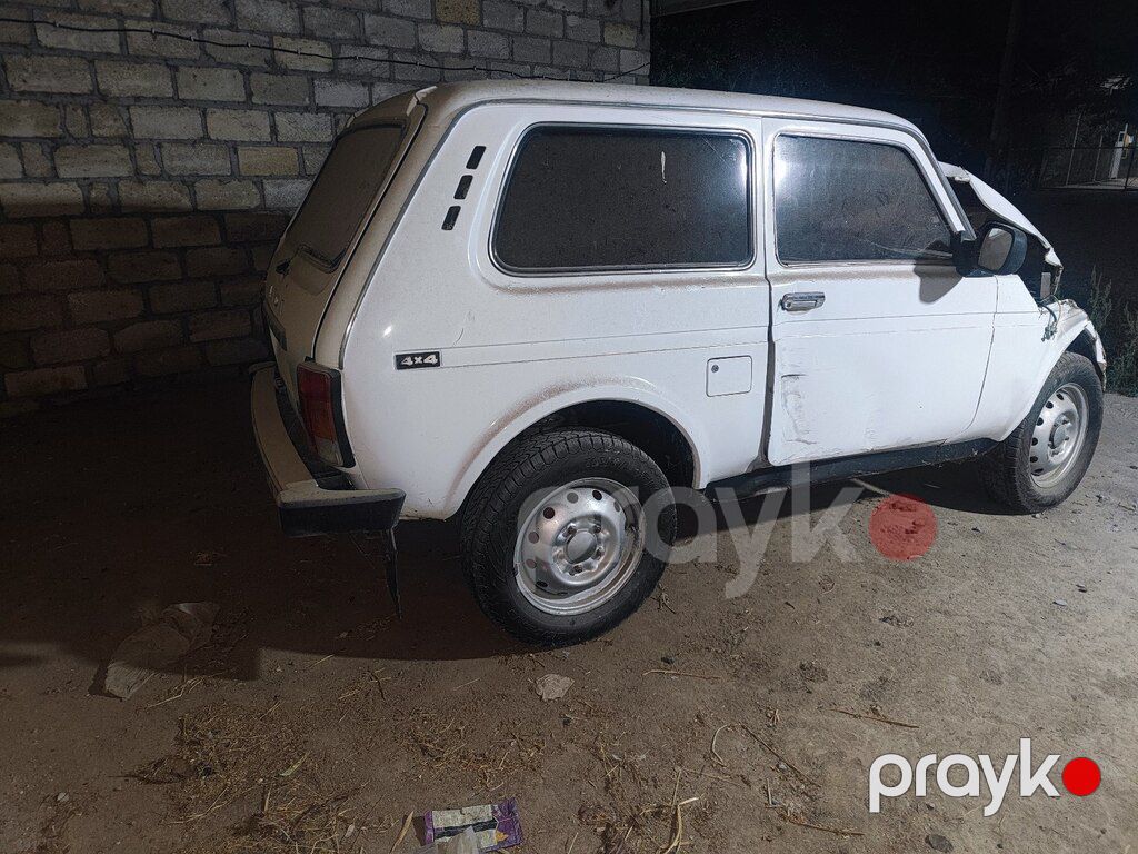 Lada (VAZ) Niva, 1.7 L, 1995 il, 158 888 km — Avtomobillər, Bərdə (2)
