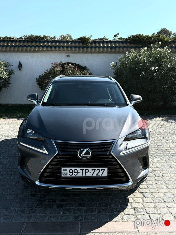 Lexus NX 300, 2.0 L, 2019 il, 117 000 km — Avtomobillər, Bakı (3)