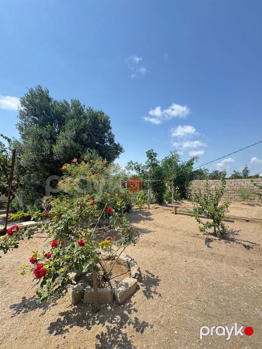 Həyət evi, Hövsan qəs — Ev, villa, Bakı (4)