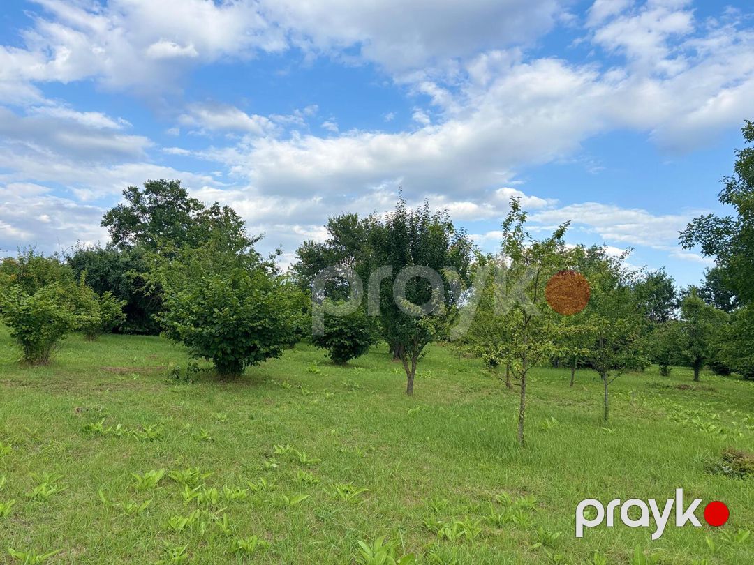 Satılır torpaq 29 sot — Torpaq, Qəbələ (3)