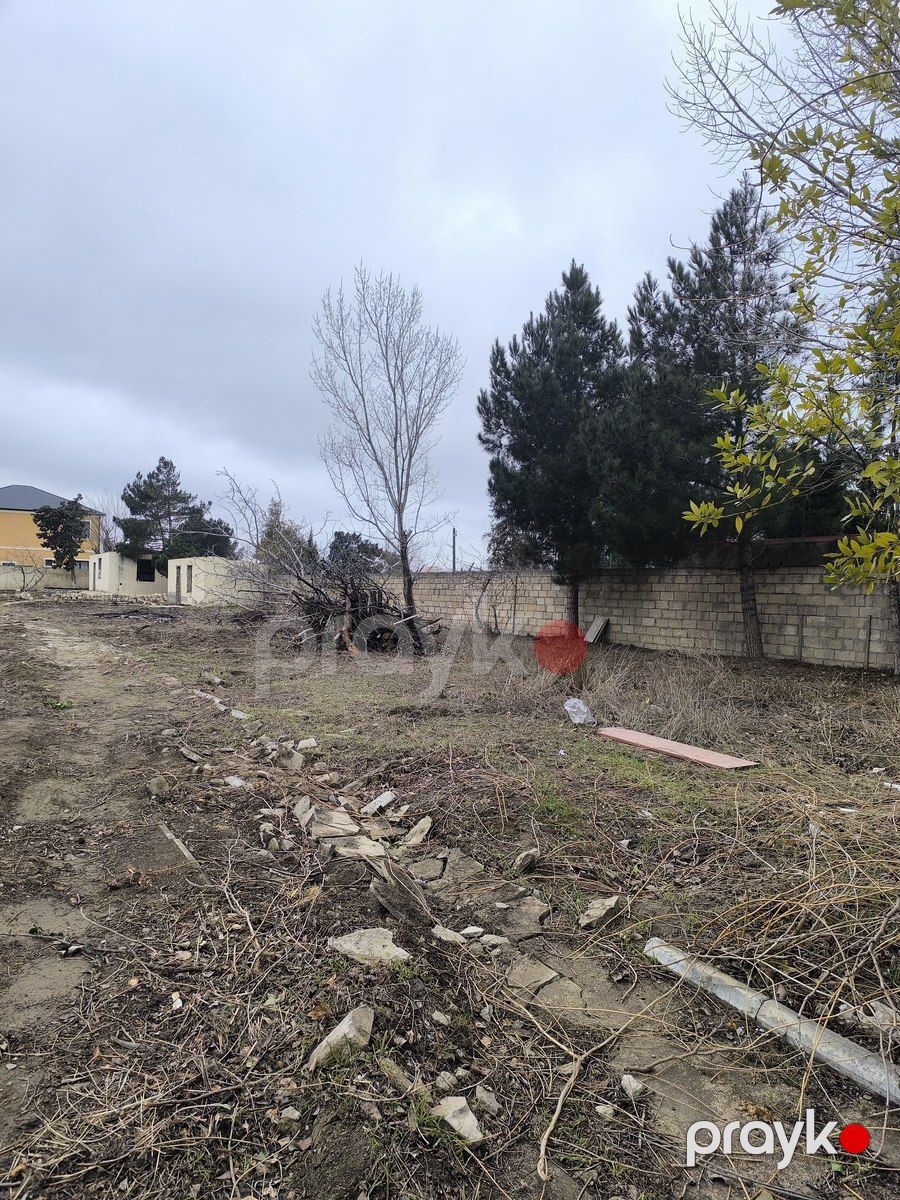 Satılır torpaq 6 sot — Torpaq, Bakı (5)