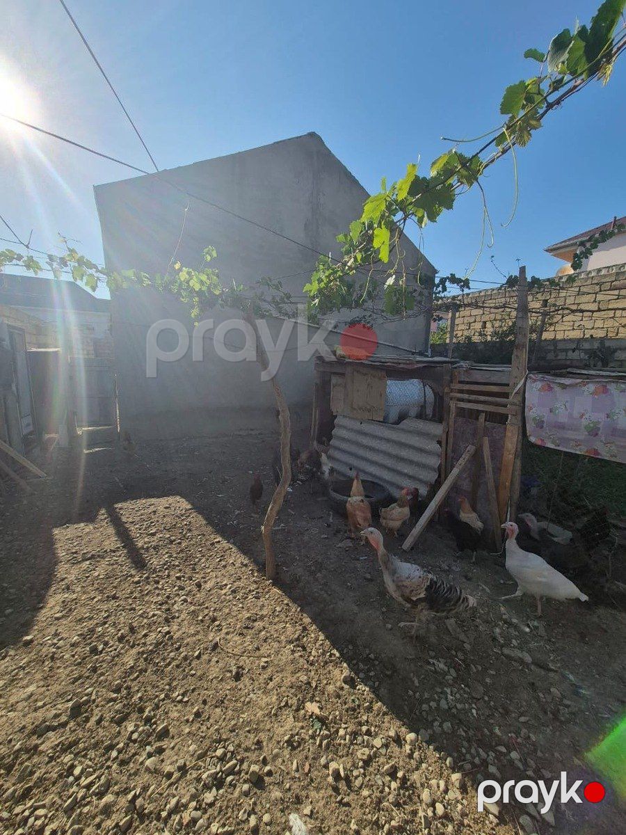 Həyət evi, Saray qəs — Ev, villa, Bakı (9)