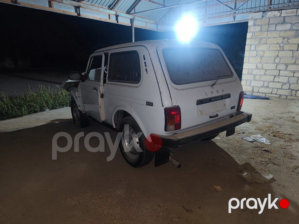 Lada (VAZ) Niva, 1.7 L, 1995 il, 158 888 km — Avtomobillər, Bərdə (4)