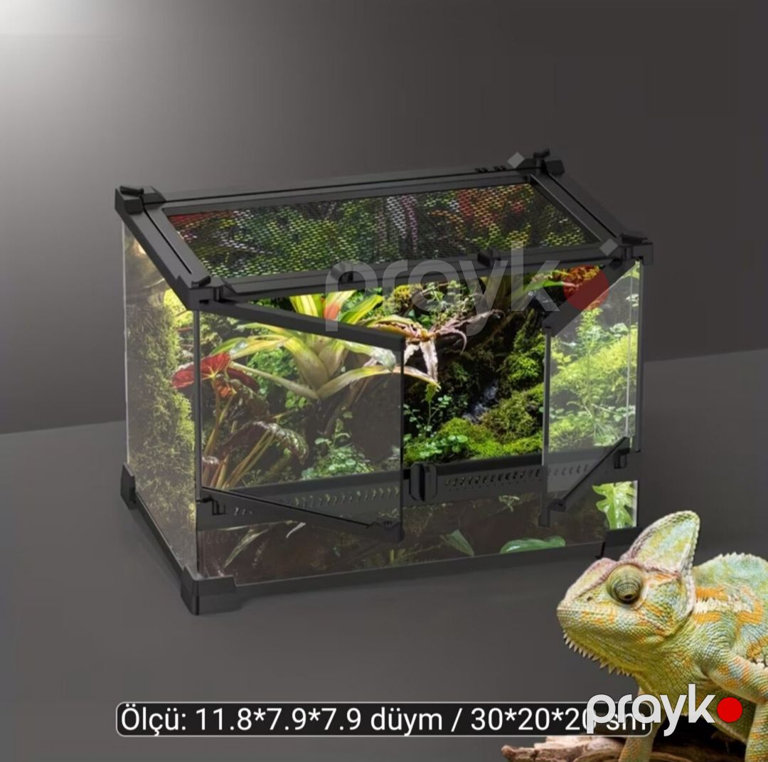 Terrarium — Akvariumlar və balıqlar, Bakı (3)