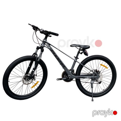 Velosiped Phoenix, boz