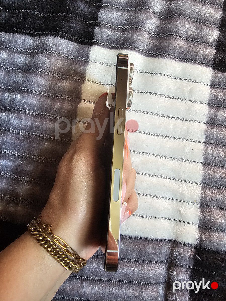 Apple iPhone 13 Pro Silver 256GB/6GB — Smartfonlar, Bakı (4)