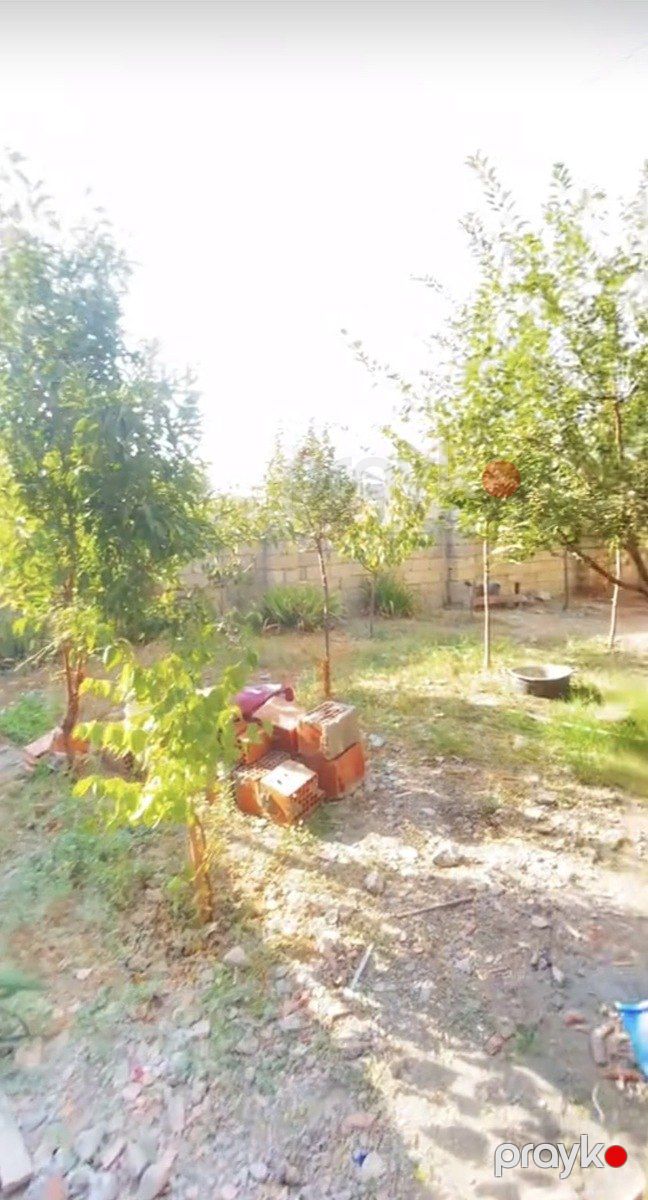 Satılır 3 otaqlı həyət evi/bağ evi 120 m² — Ev, villa, Mingəçevir (3)