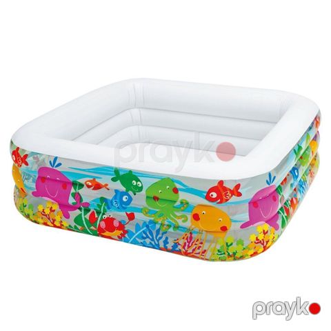 Uşaq üçün şişmə hovuz Intex 57471 Akvarium 159x159x50 sm, 340 l, 3 yaşdan — Bakı