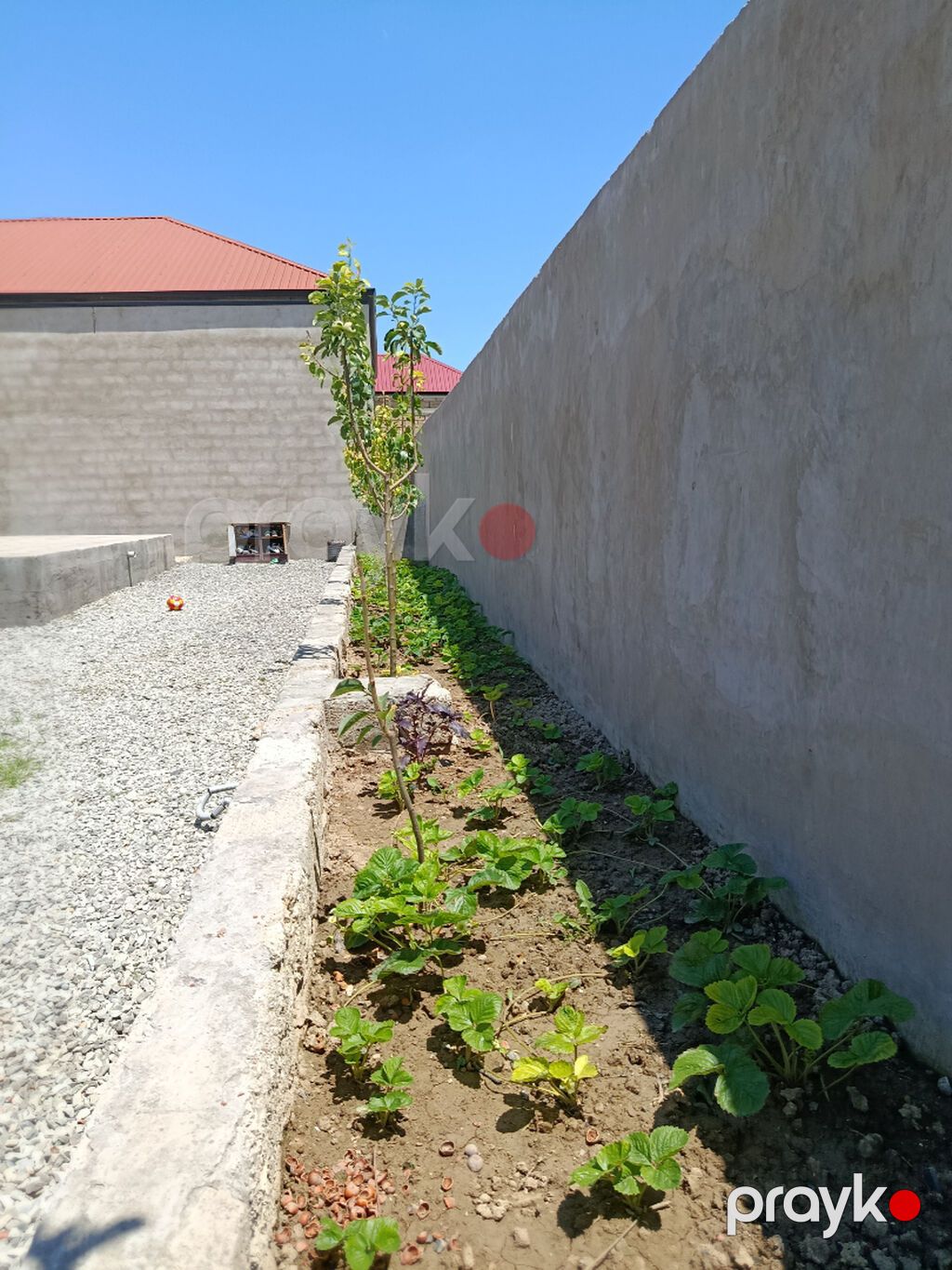 Zabrat 4 otaqlı, 100 kv. m, Kredit yoxdur, Yeni təmirli — Ev, villa, Bakı (5)