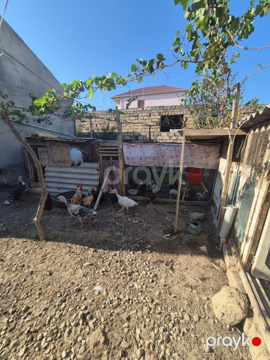 Həyət evi, Saray qəs — Ev, villa, Bakı (7)