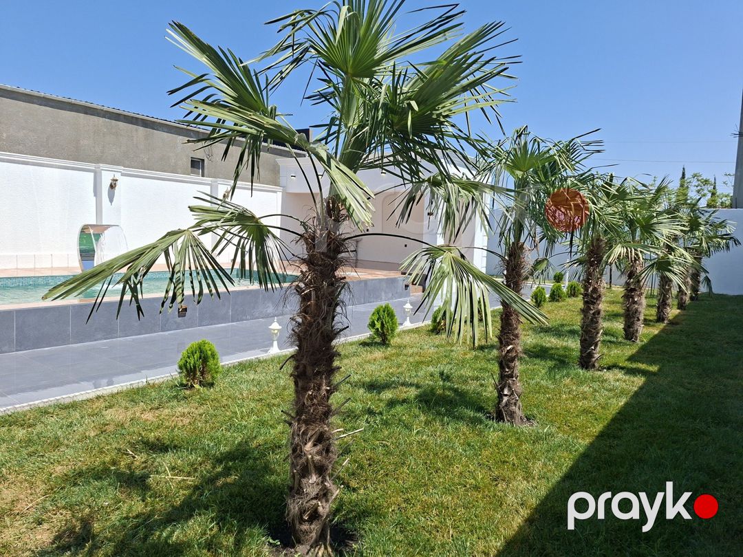 Satılır 4 otaqlı həyət evi/bağ evi 150 m² — Ev, villa, Bakı (4)