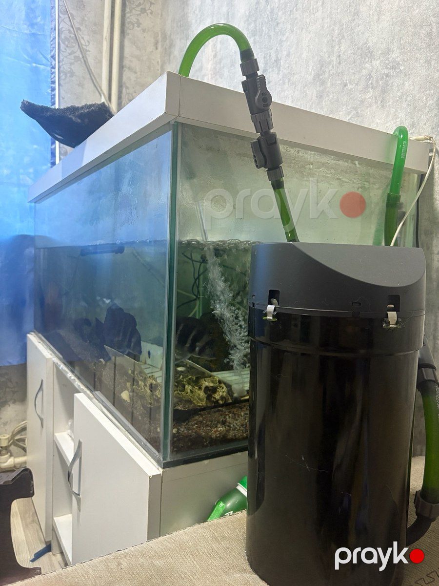 Akvarium — Akvariumlar və balıqlar, Bakı (2)