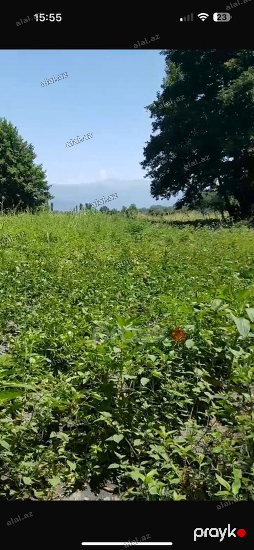 100 sot, Mülkiyyətçi, Kupça (Çıxarış) — Torpaq, Zaqatala (2)