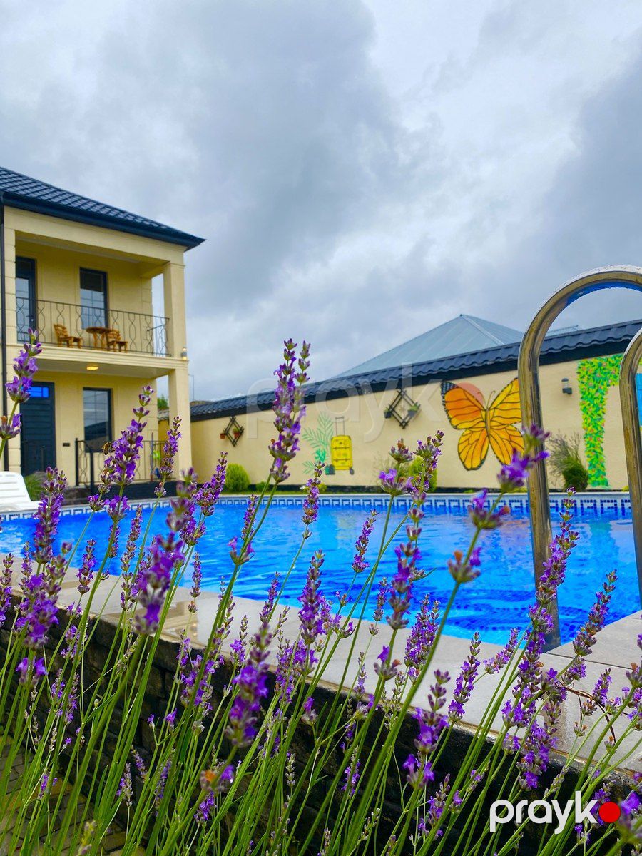 İcarəyə verilir 5 otaqlı həyət evi/bağ evi 200 m² — Ev, villa, Qəbələ (2)