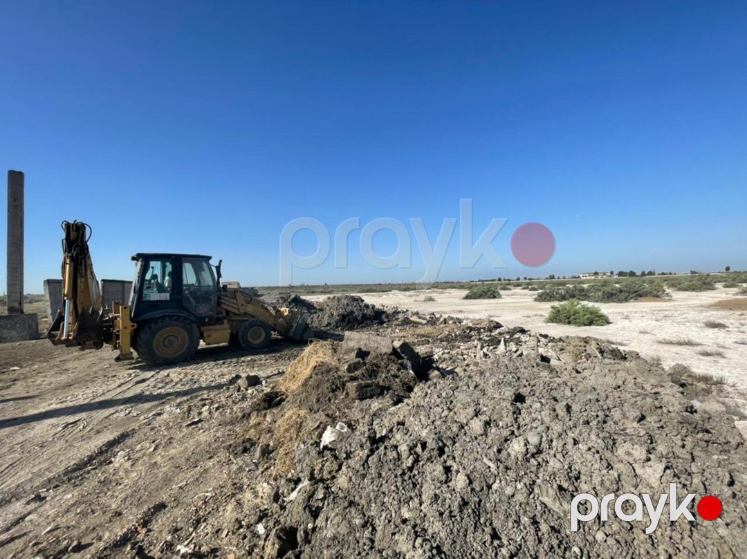 Satılır torpaq 250 sot — Torpaq, Yevlax (4)