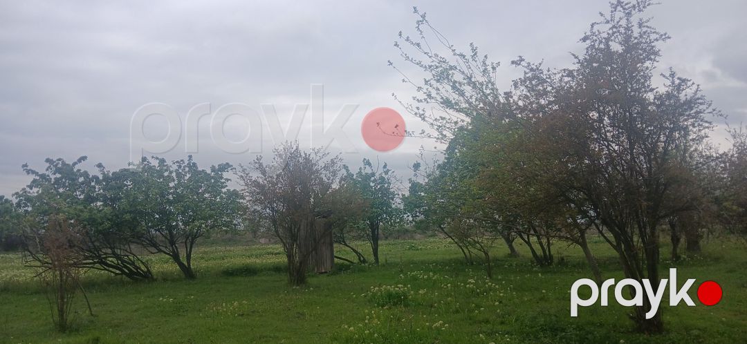 Həyət evi, Ağdaş r — Ev, villa, Ağdaş (9)