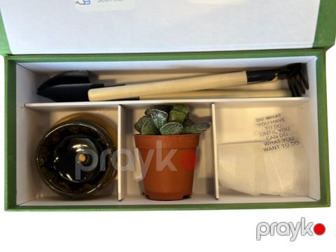Becərmə dəstləri miniboss004growbox — Bakı