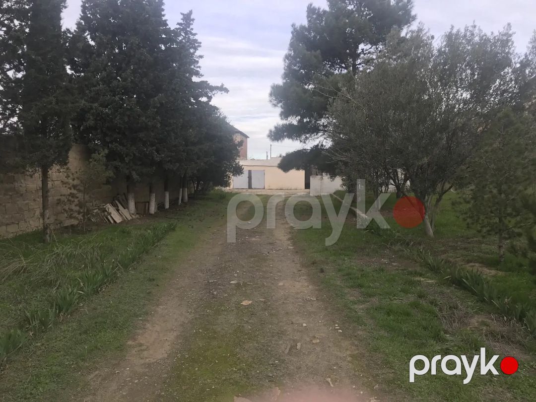 Satılır torpaq 30 sot — Torpaq, Sumqayıt (11)