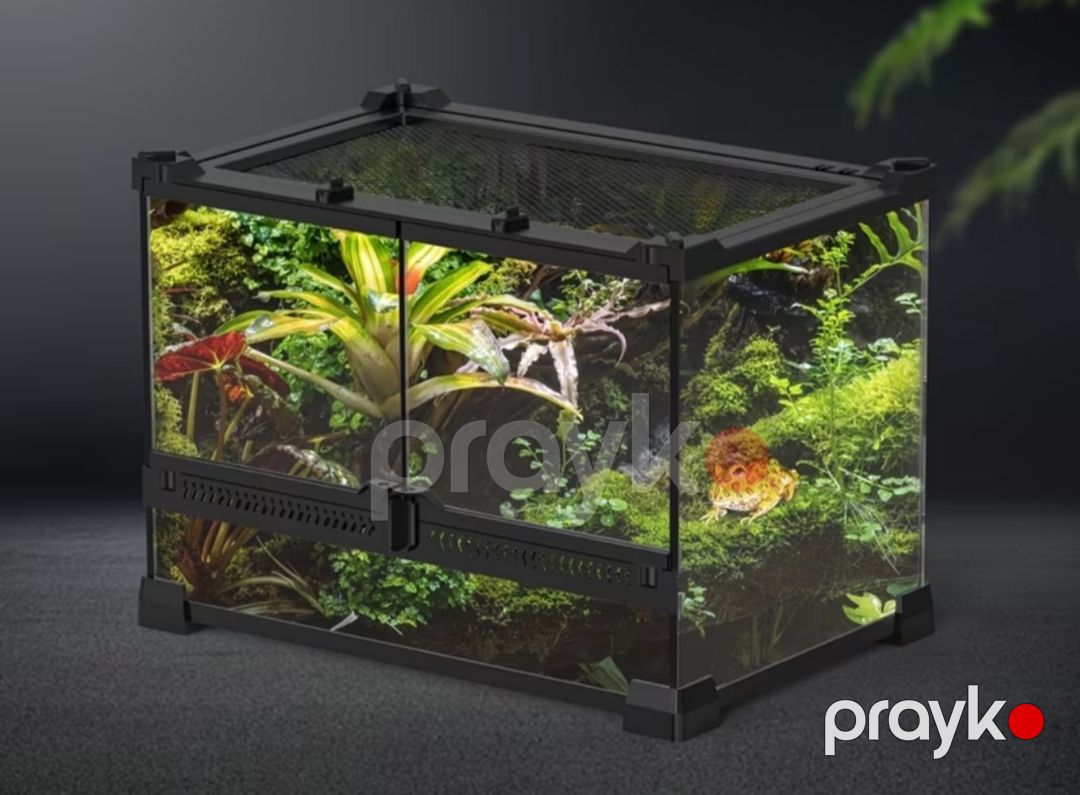 Terrarium — Akvariumlar və balıqlar, Bakı (2)