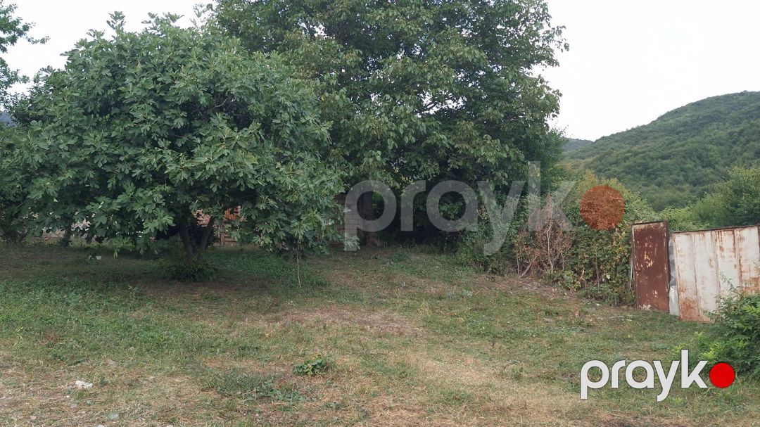 20 sot torpaq sahəsi, İsmayıllı r — Torpaq, İsmayıllı (11)