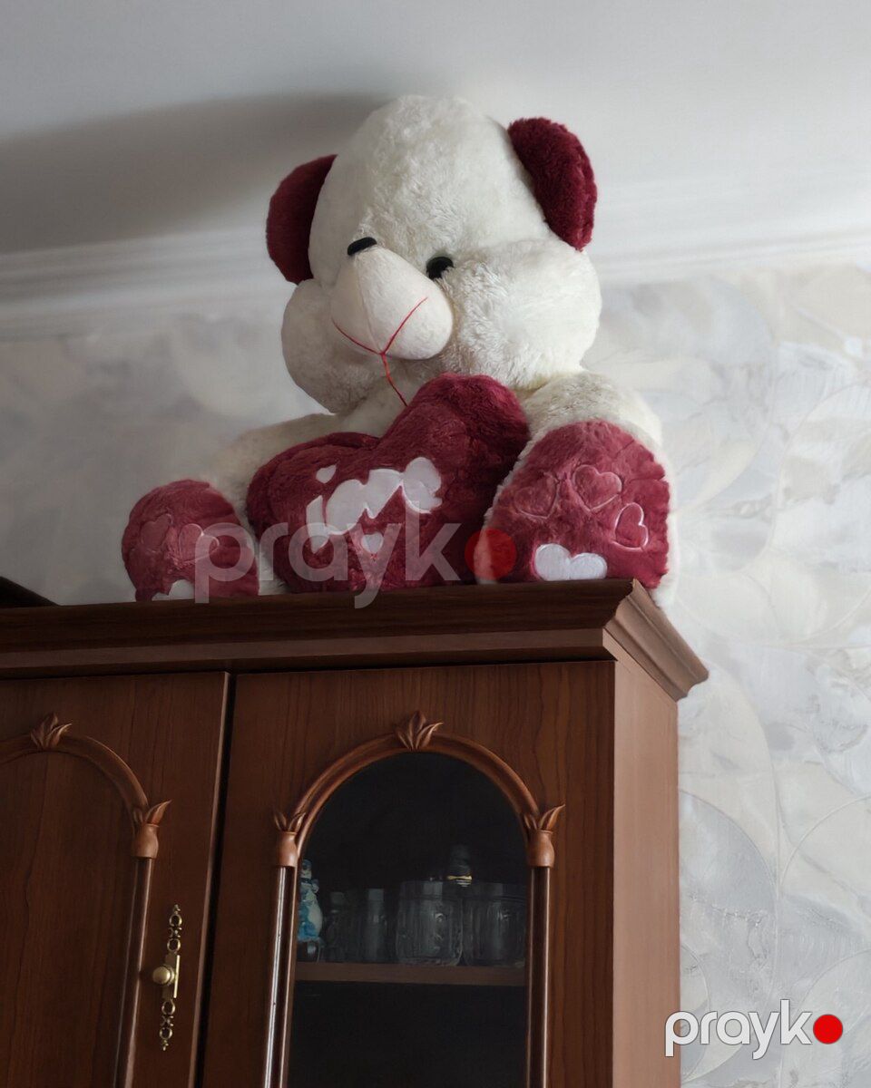 Oyuncaq ayı — Oyuncaqlar, Sumqayıt (2)