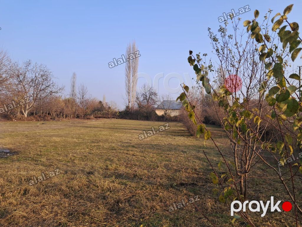 25 sot — Torpaq, Göyçay (3)