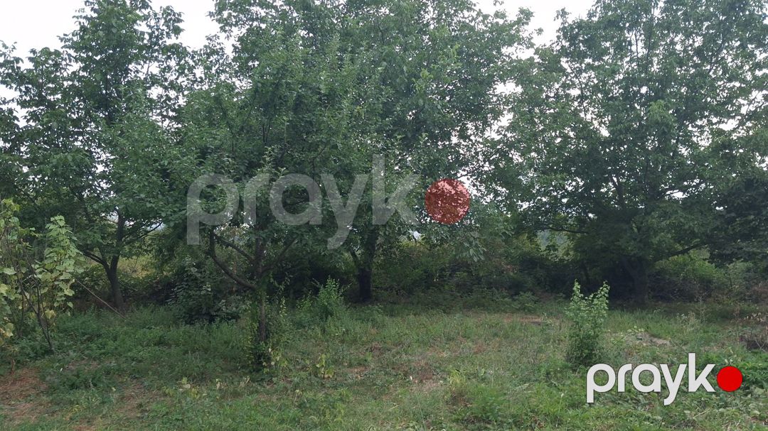 20 sot torpaq sahəsi, İsmayıllı r — Torpaq, İsmayıllı (4)