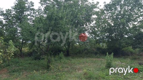 15 sot torpaq sahəsi, İsmayıllı r — İsmayıllı