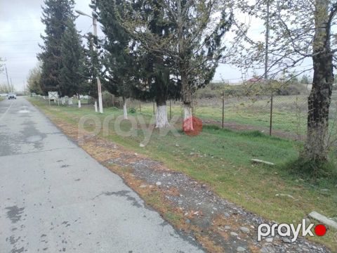Satılır torpaq 84 sot — Ağdaş