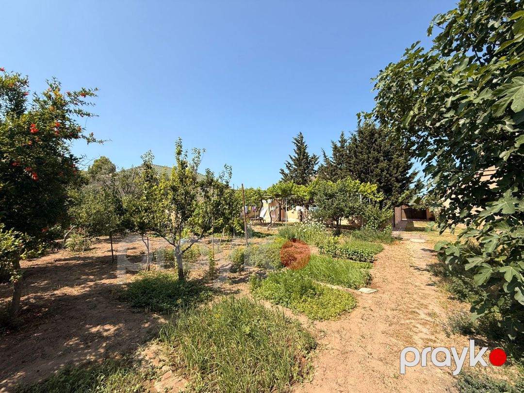 12 sot torpaq sahəsi, Mərdəkan qəs — Torpaq, Bakı (7)