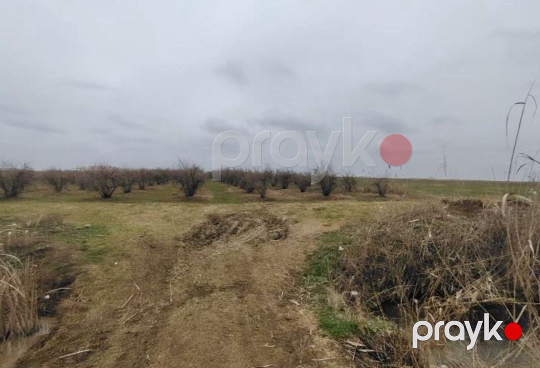 Satılır torpaq 2312 sot — Torpaq, Biləsuvar (2)