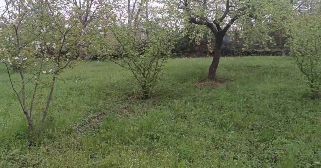 5 sot torpaq sahəsi, Quba r — Torpaq, Quba (2)
