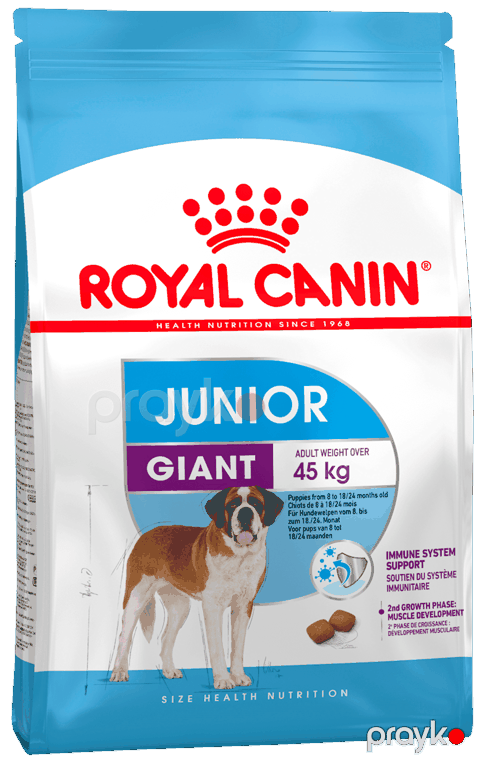 Quru yem Royal Canin Giant Junior iri cinsli küçüklər üçün 15 kq — Bakı
