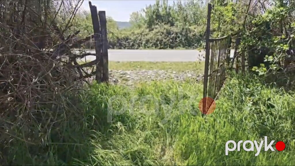 15 sot, Biznes üçün, Mülkiyyətçi, Kupça (Çıxarış) — Torpaq, Qəbələ (2)